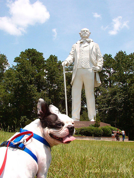 Buttercup at the Sam Houston Statue site, Huntsville TX