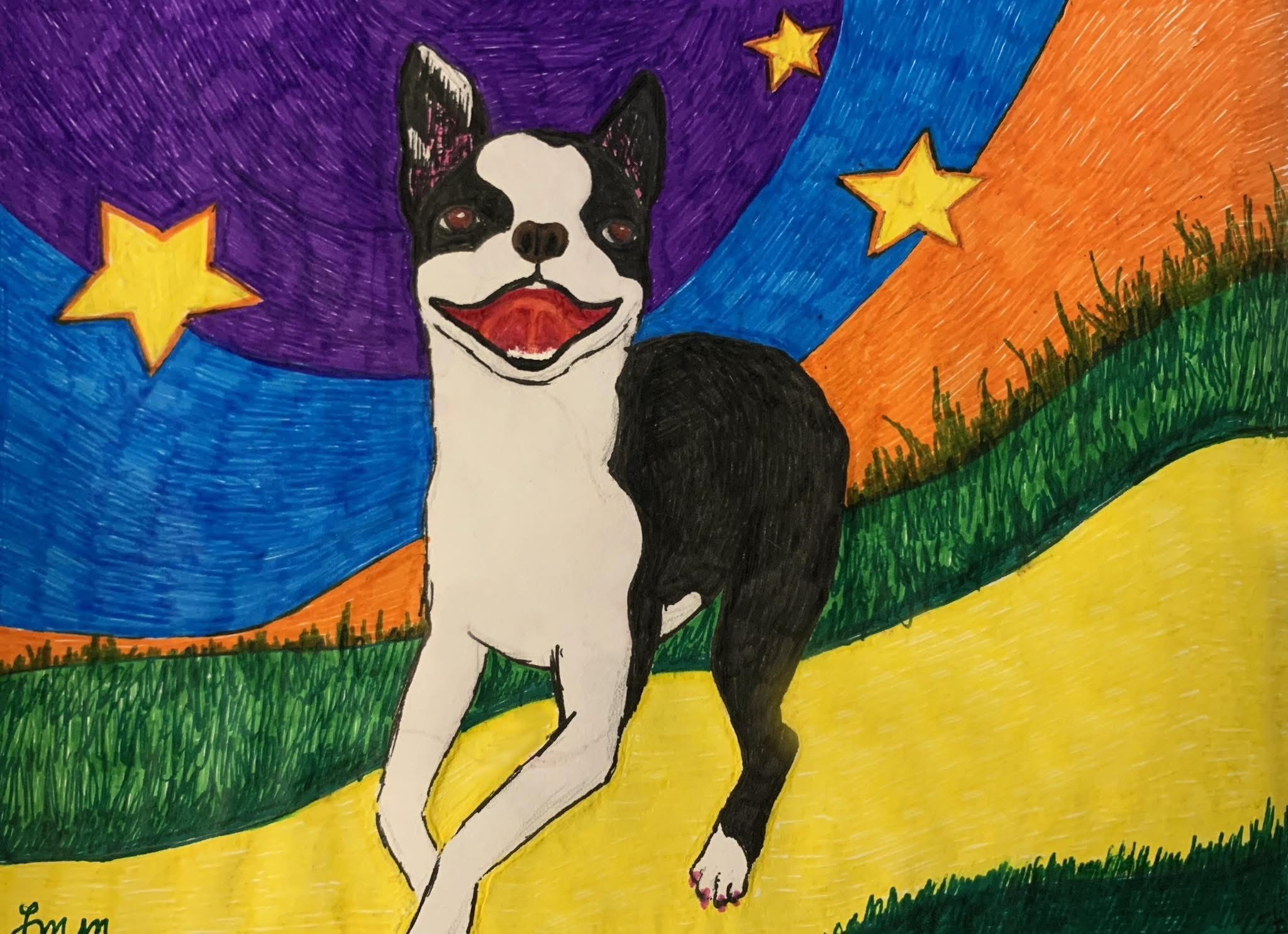 coloful drawing of my beautiful Boston Terrier smiling running stars in the sky